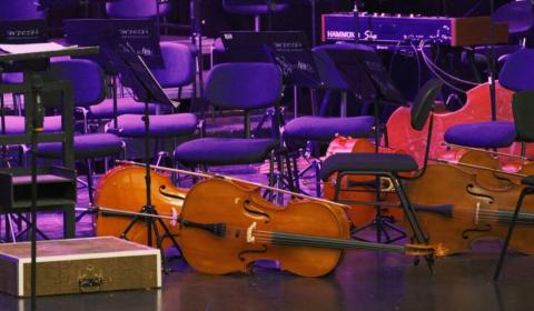 Táborský symfonický orchestr Bolech a hosté