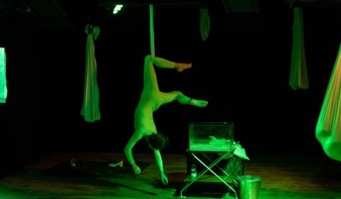 Toyen - Všechny barvy samoty