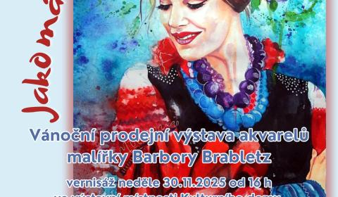 Jako mávnutím křídla - Barbora Brabletz