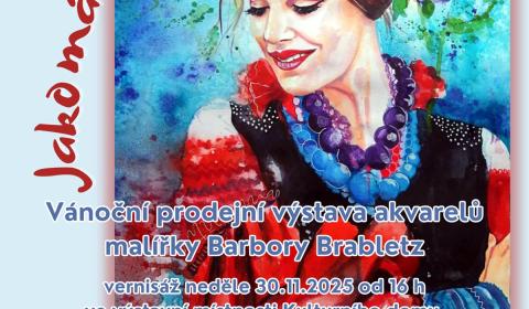 Jako mávnutím křídla - Barbora Brabletz
