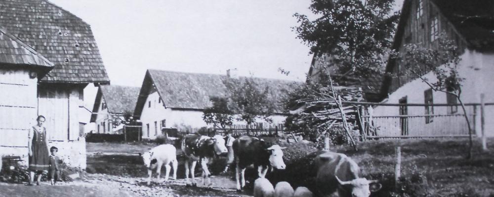 Josef Pecka - Toulání ztracenou Šumavou 